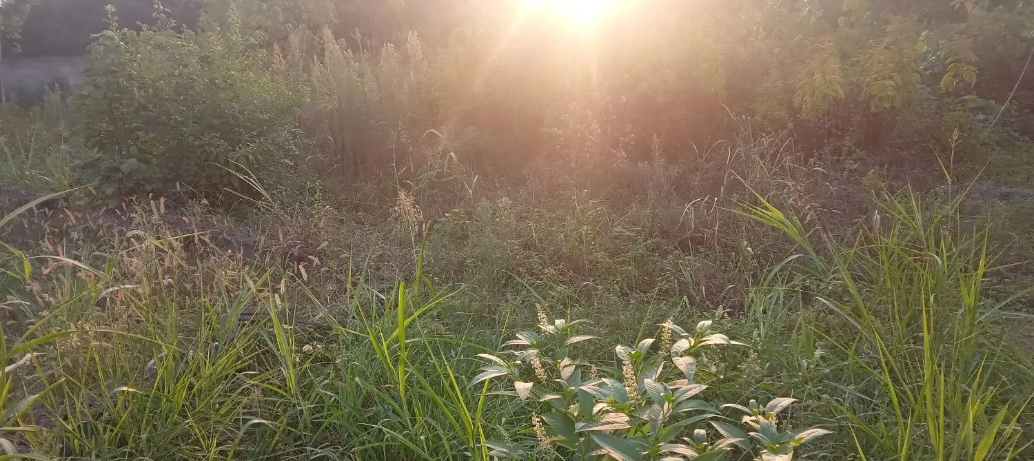 تصویر املاک 112411