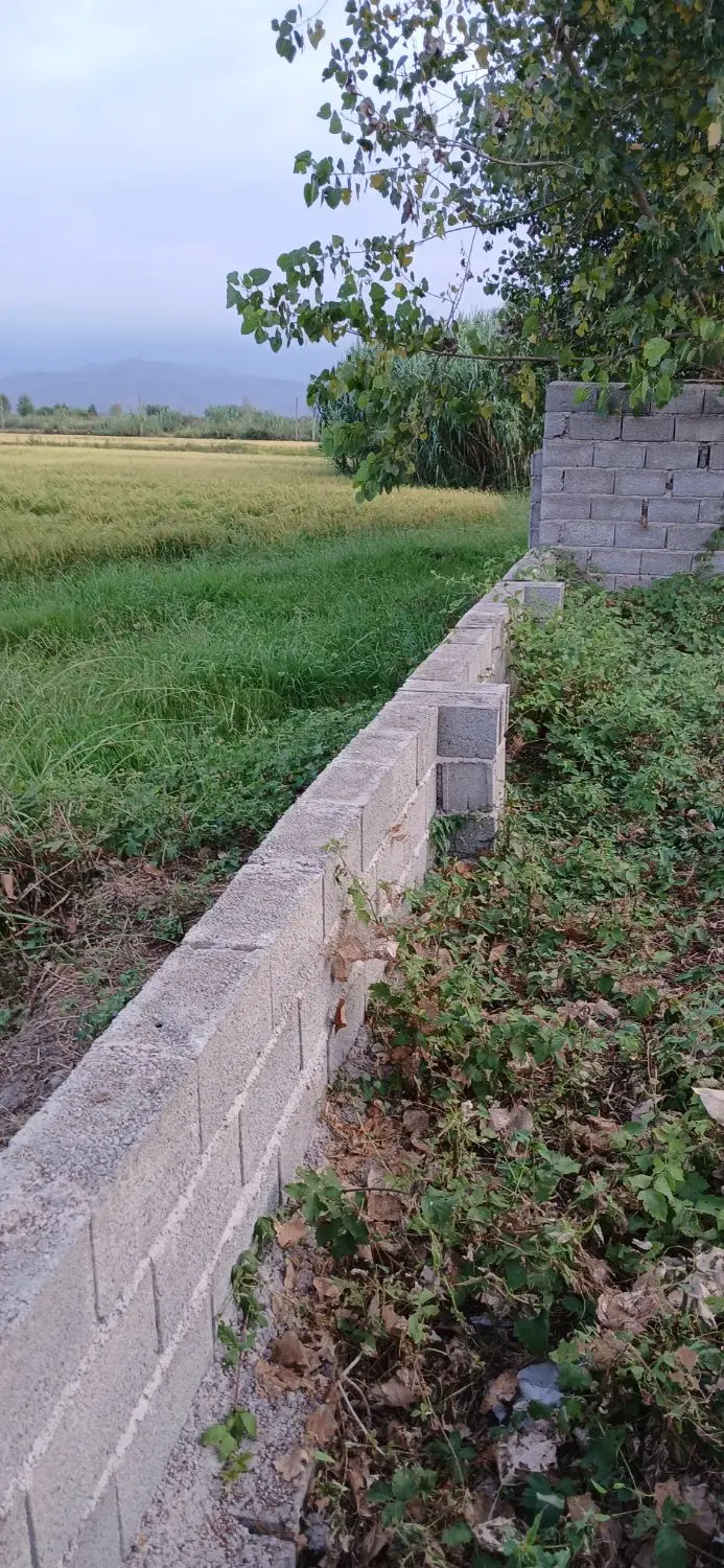 تصویر املاک 144633