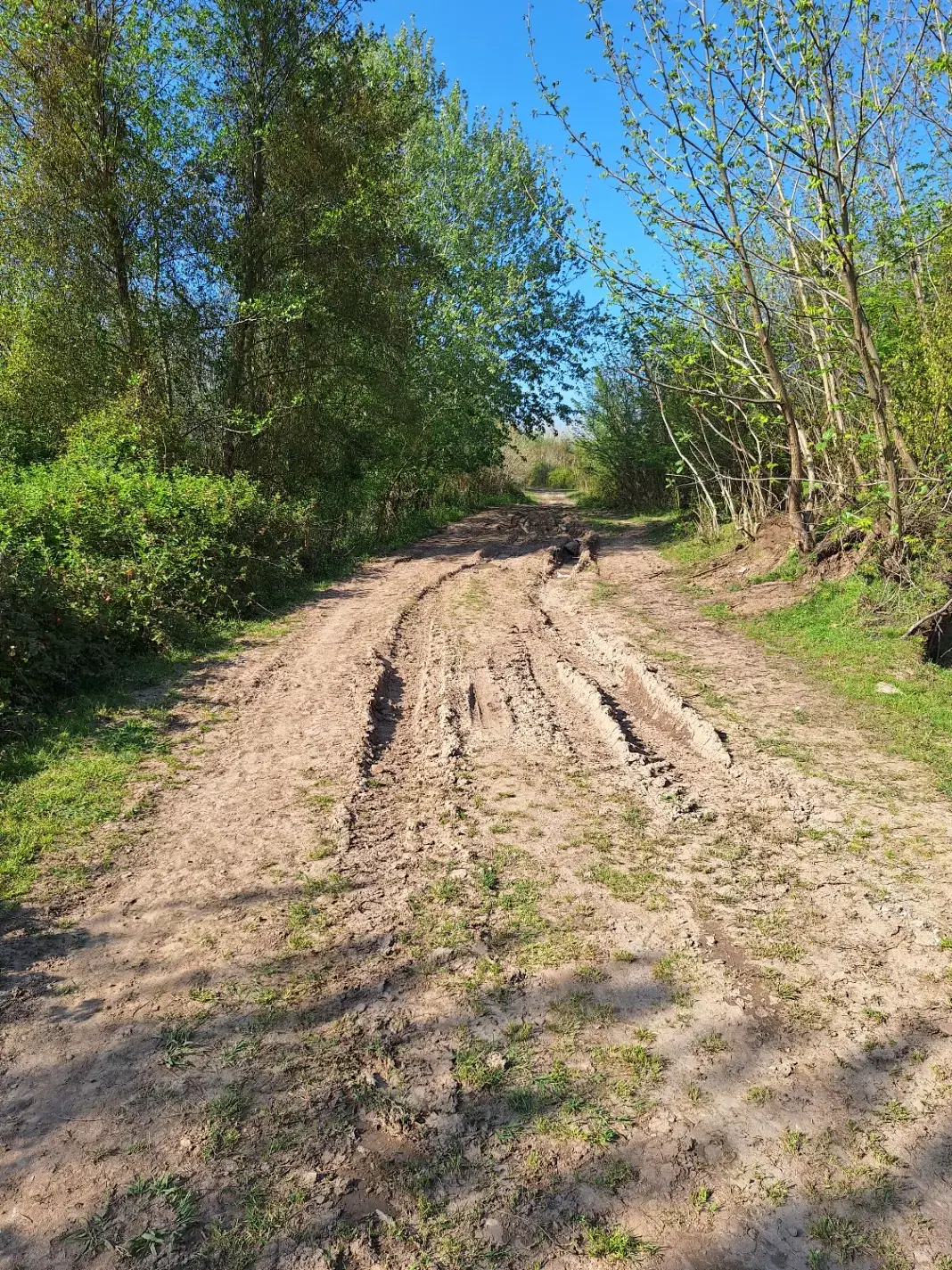 تصویر املاک 94043