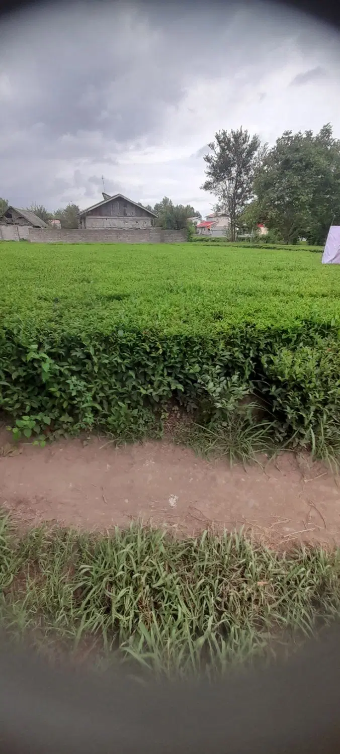 تصویر املاک 86242