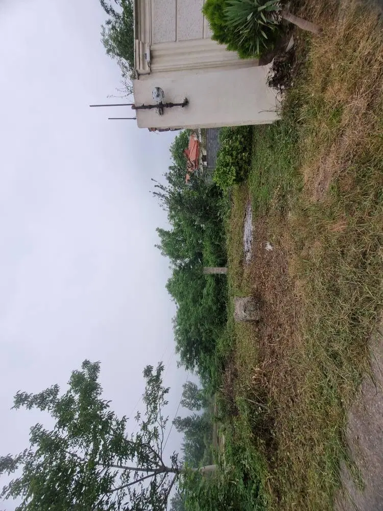تصویر املاک 88125