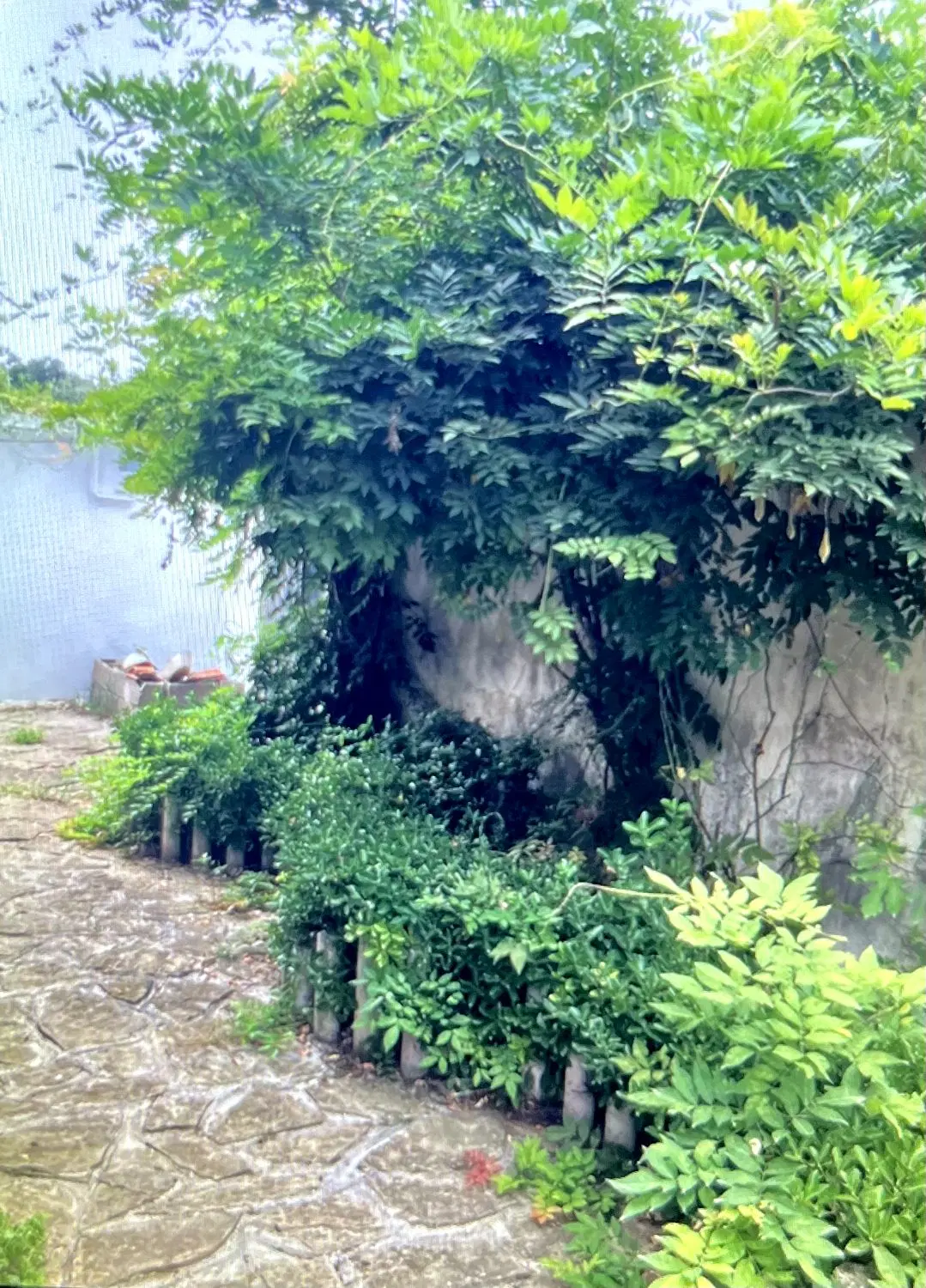 تصویر املاک 124108