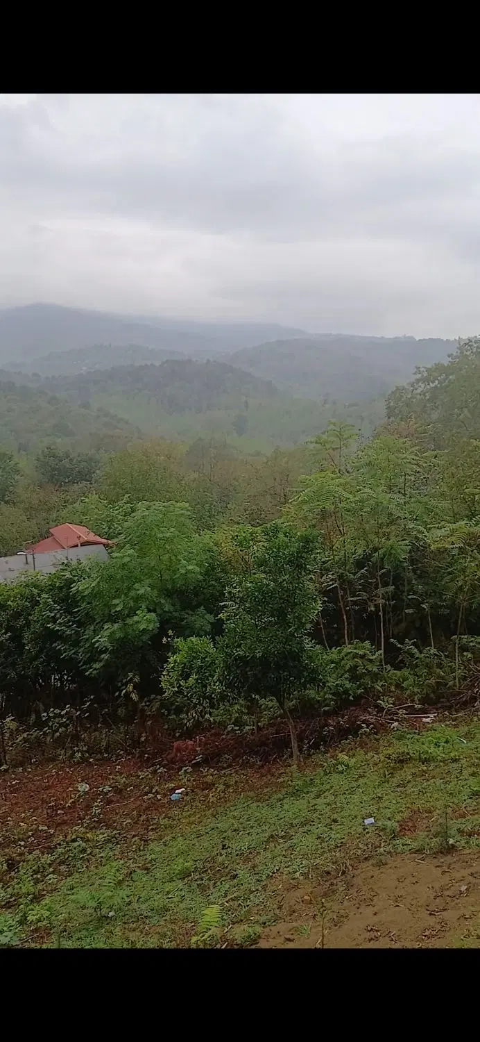 تصویر املاک 130418