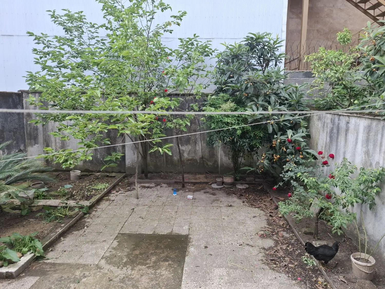 تصویر املاک 43327