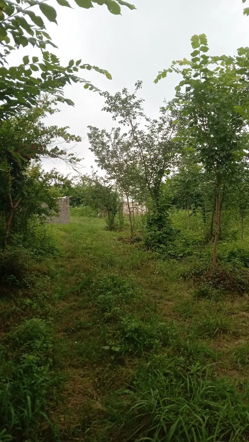 تصویر املاک 96845