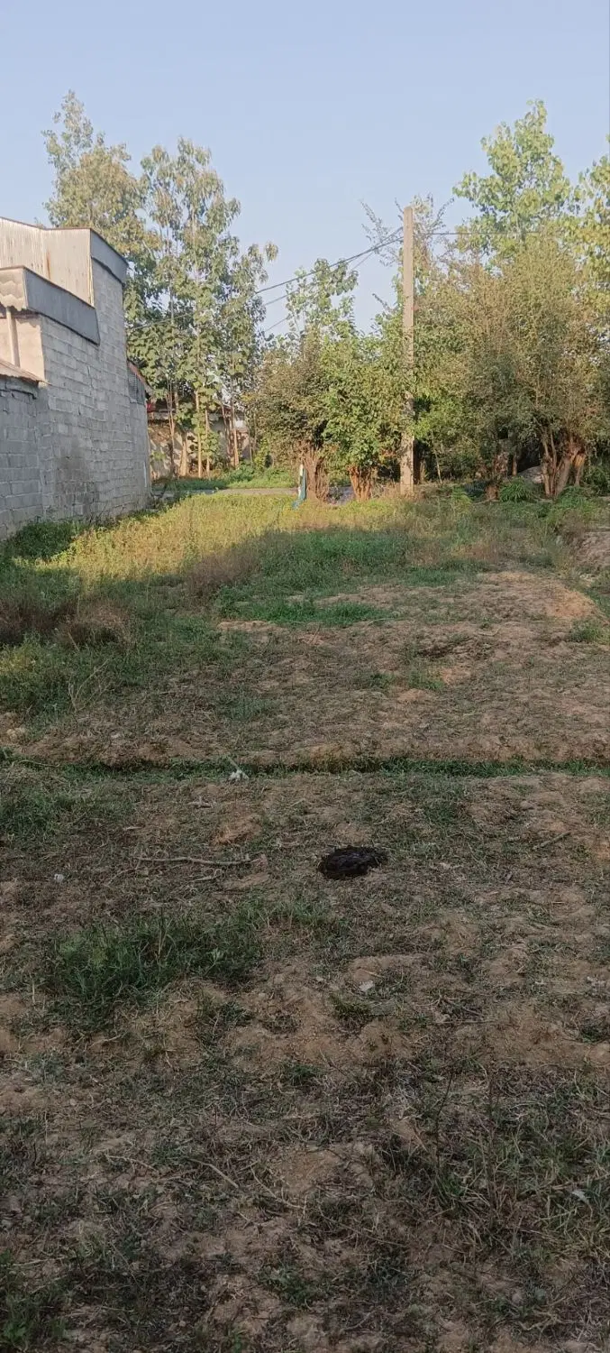تصویر املاک 117405