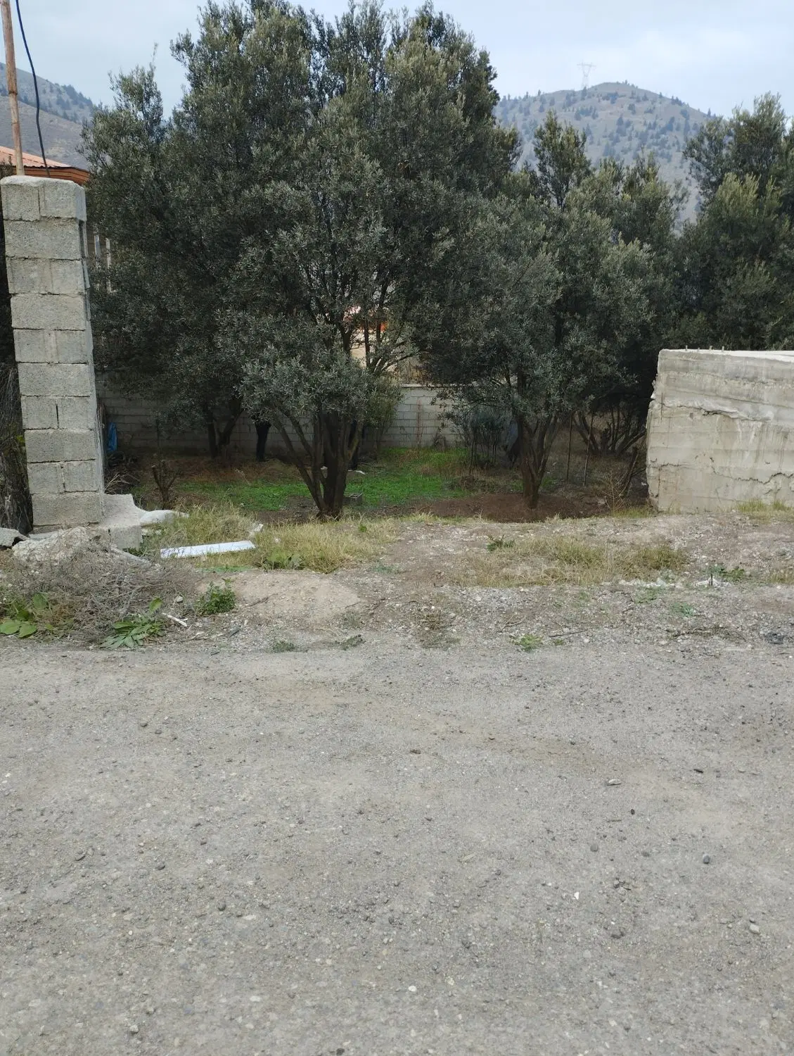 تصویر املاک 50122