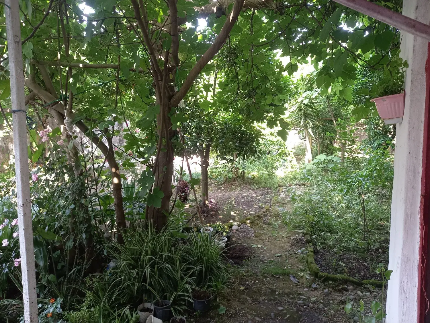 تصویر املاک 114053