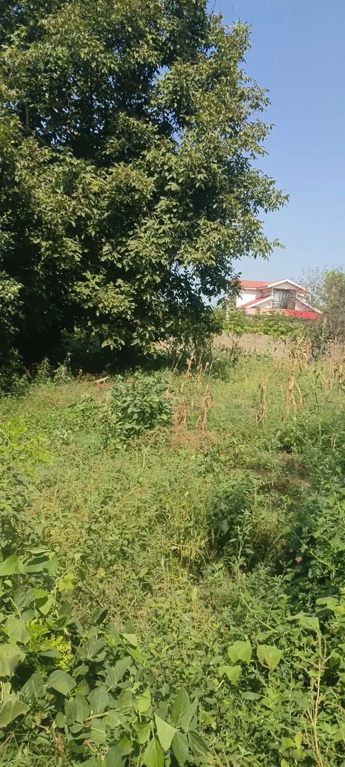 تصویر املاک 127901