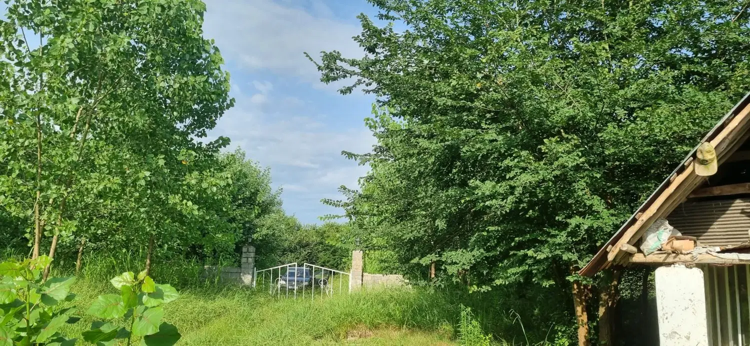 تصویر املاک 111266