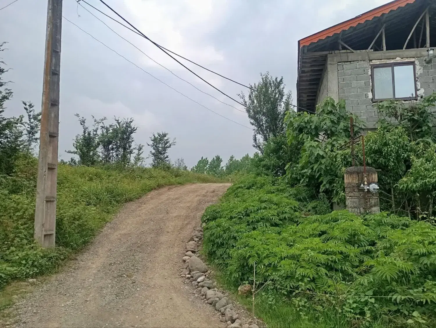 تصویر املاک 74553