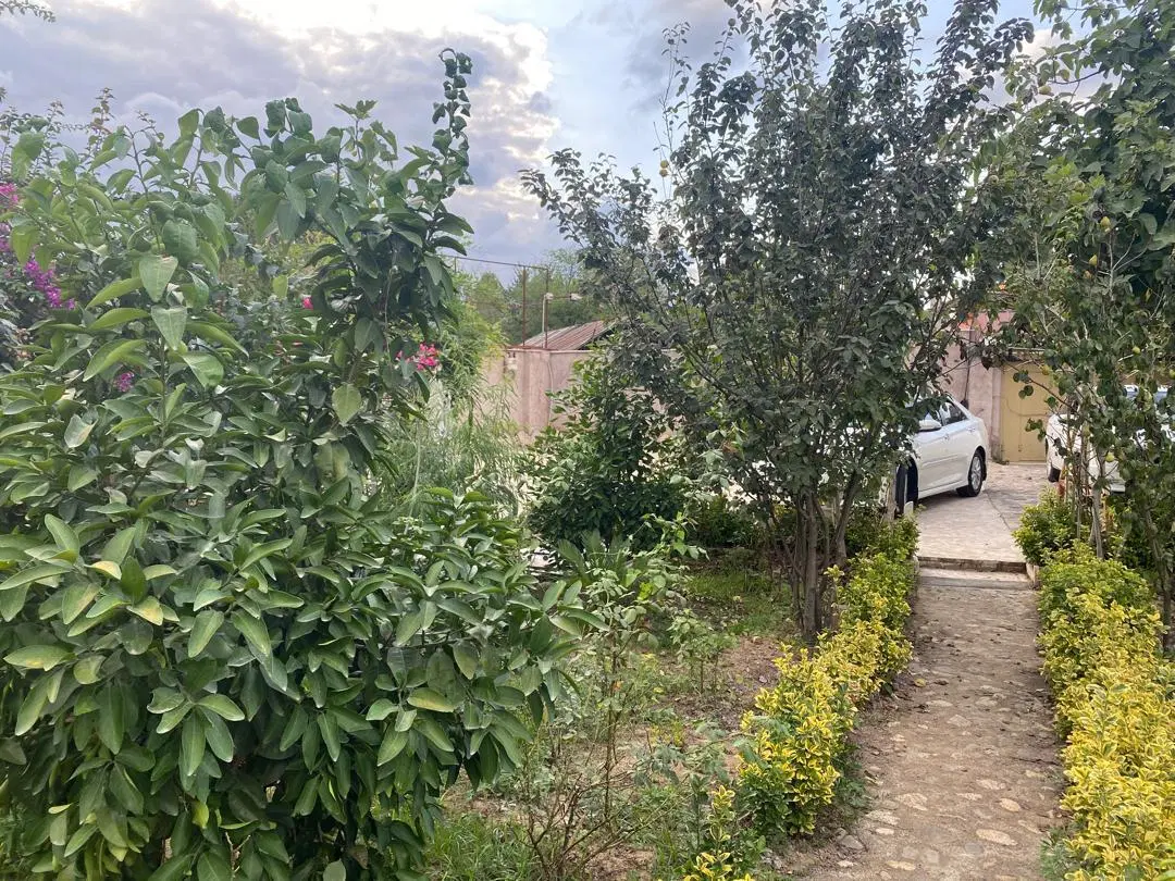 تصویر املاک 121000