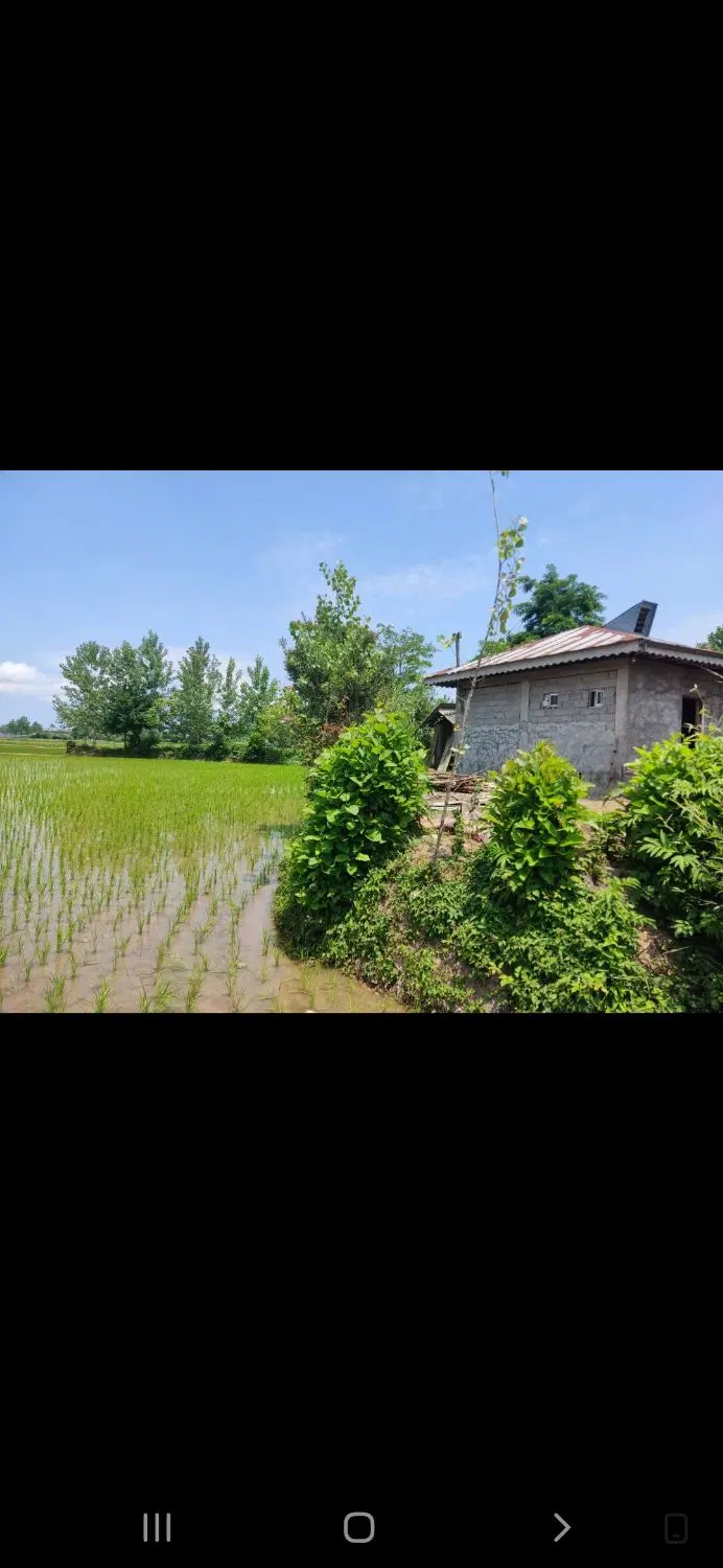 تصویر املاک 52221