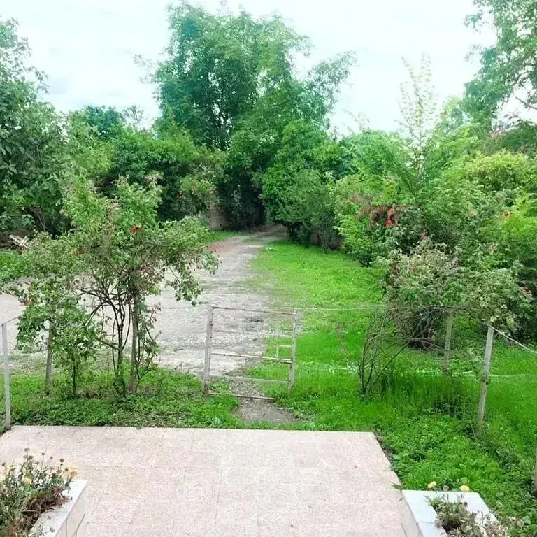 تصویر املاک 100437