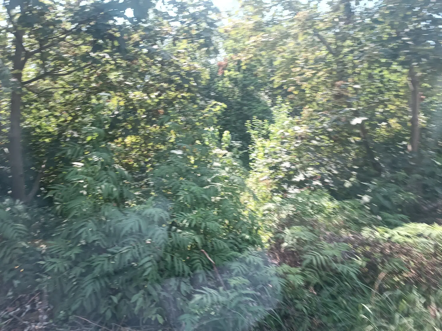 تصویر املاک 92079