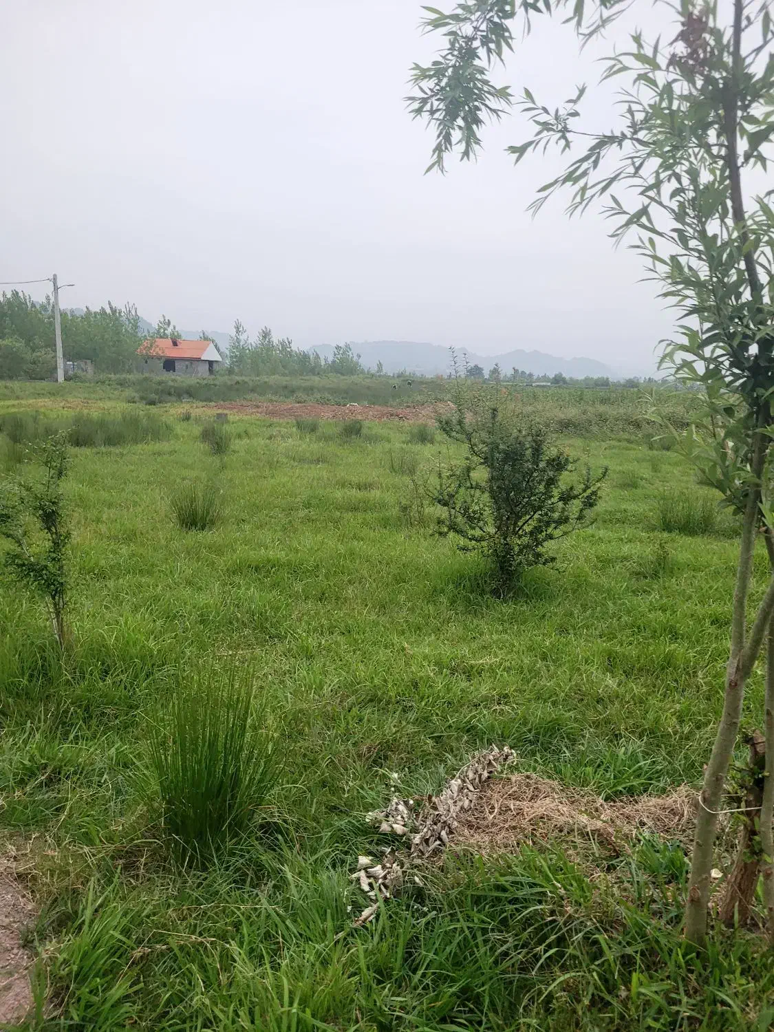 تصویر املاک 41540
