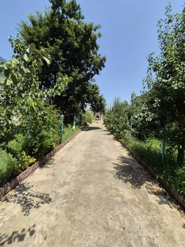 تصویر املاک 110623