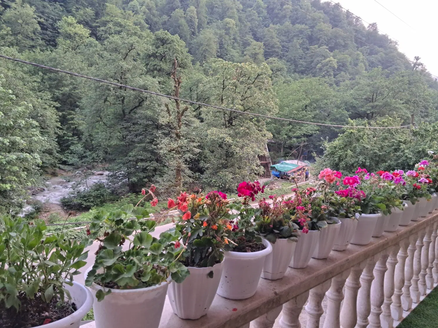 تصویر املاک 117426