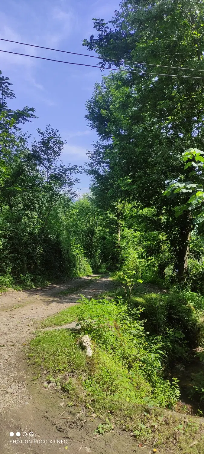 تصویر املاک 99118