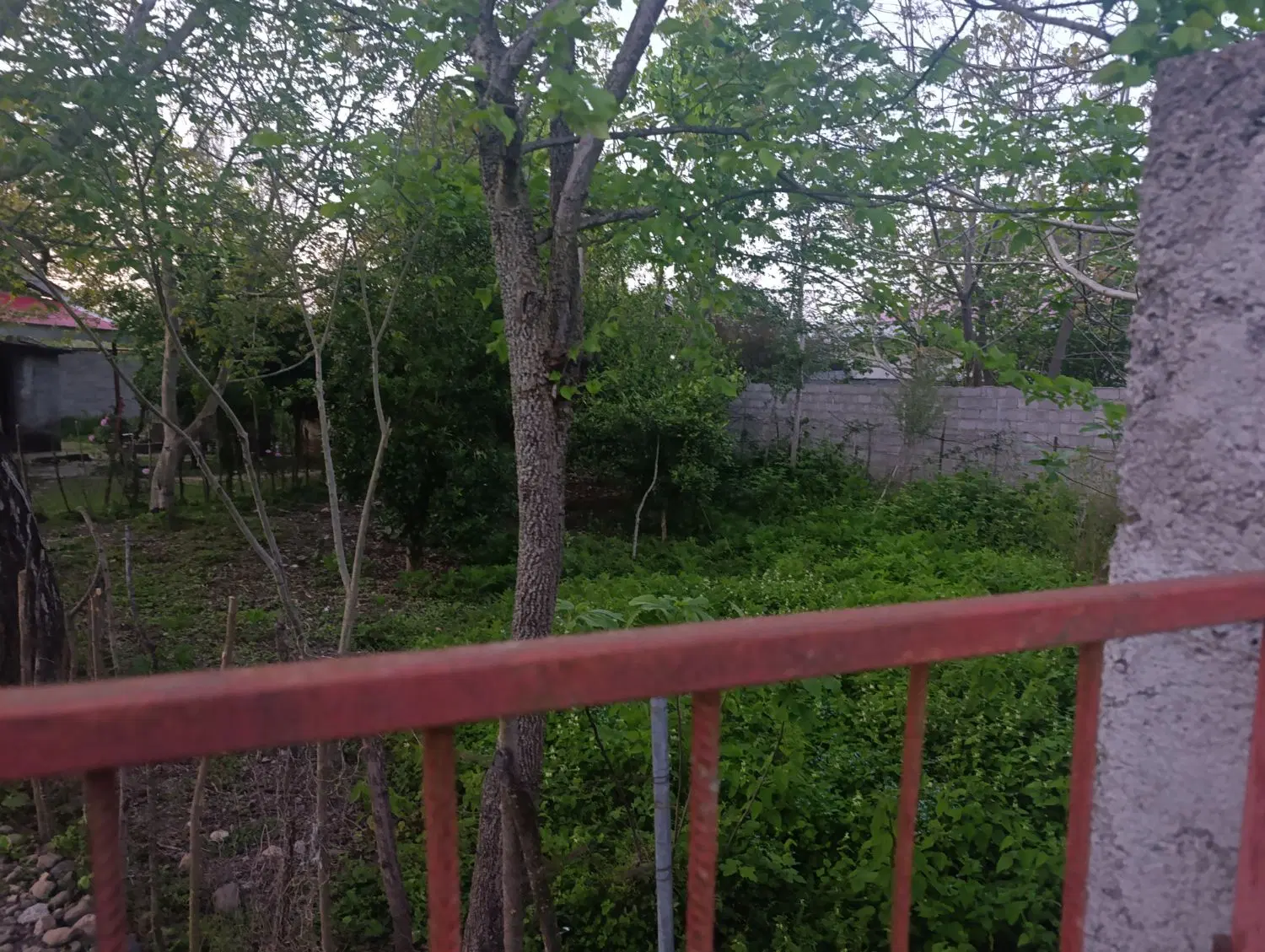 تصویر املاک 80975