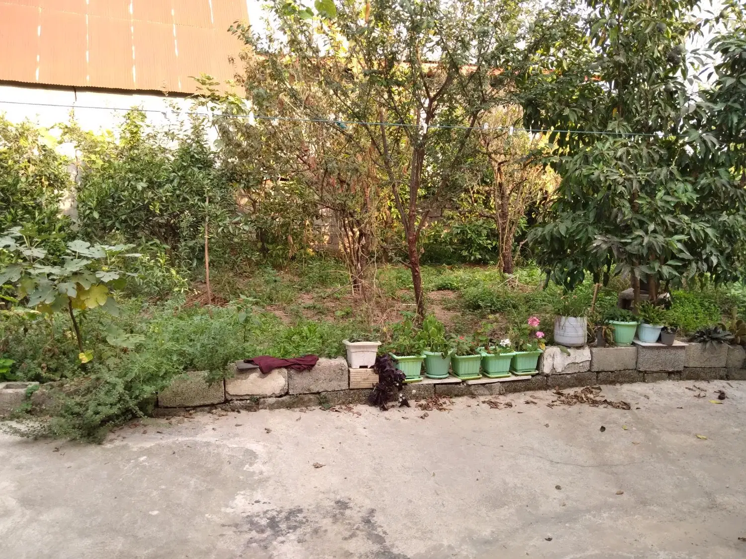 تصویر املاک 103841