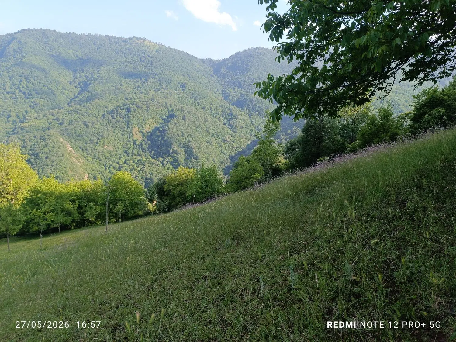 تصویر املاک 79476