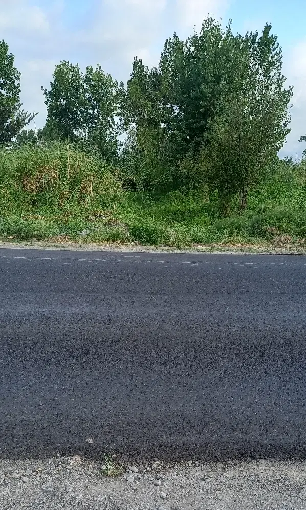 تصویر املاک 101461
