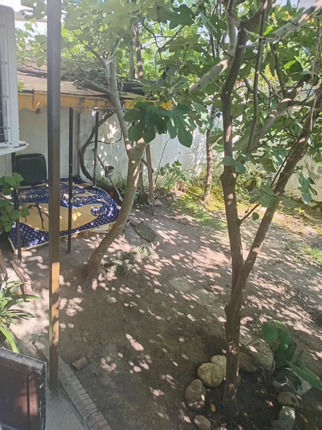تصویر املاک 76819