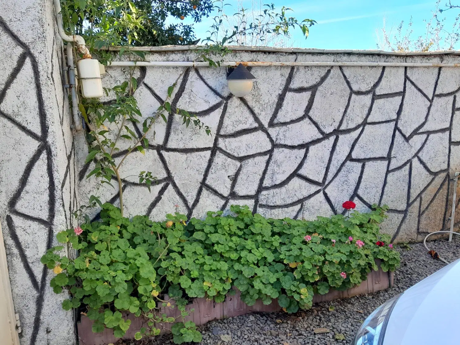 تصویر املاک 77941