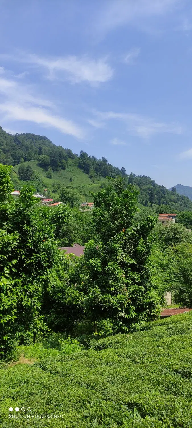 تصویر املاک 99112