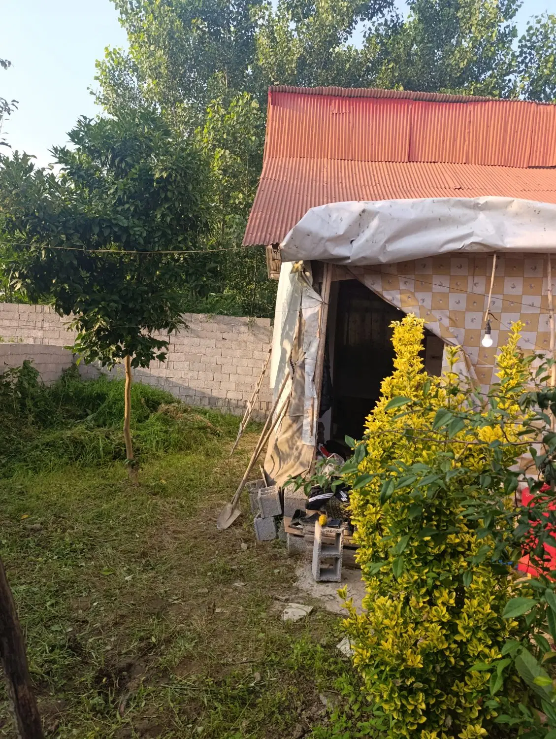 تصویر املاک 69592