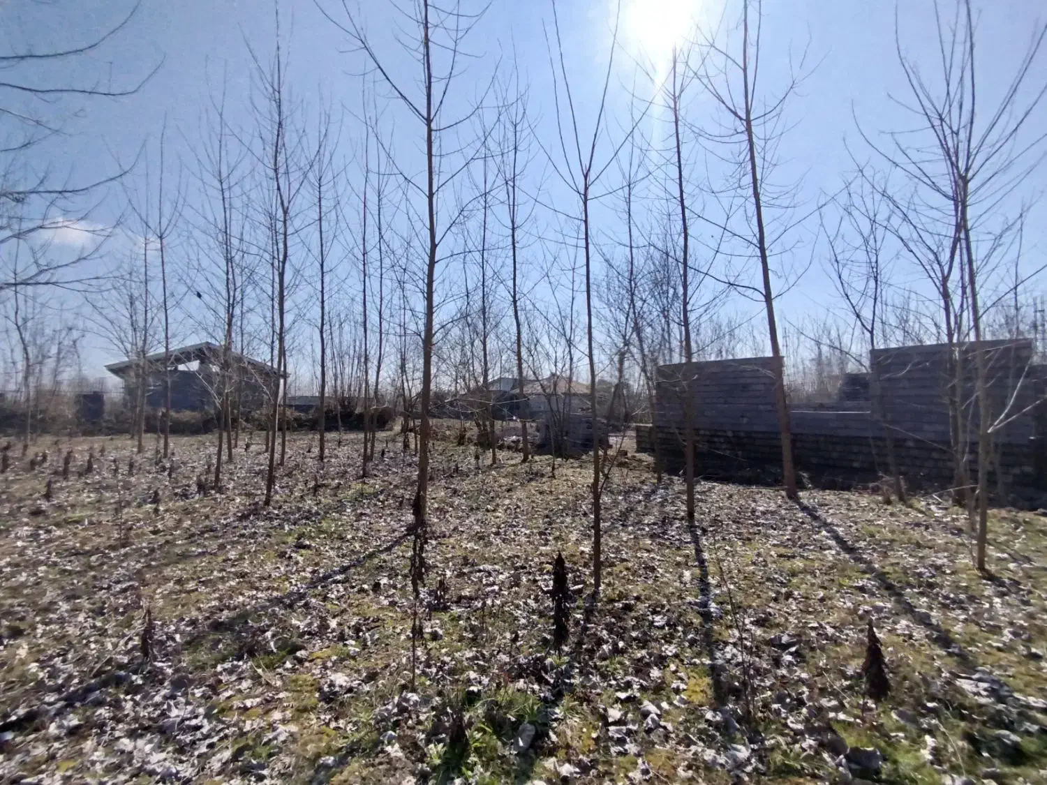 تصویر املاک 31622