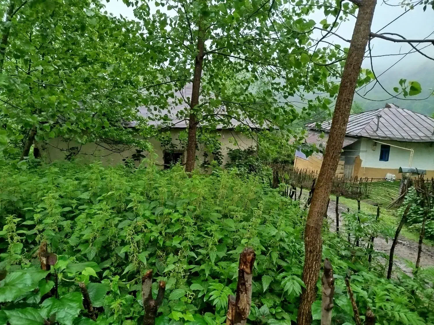 تصویر املاک 39150