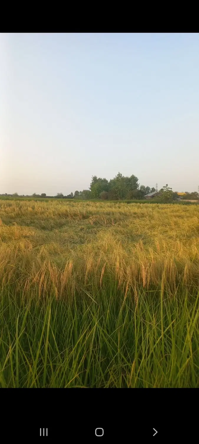 تصویر املاک 108829