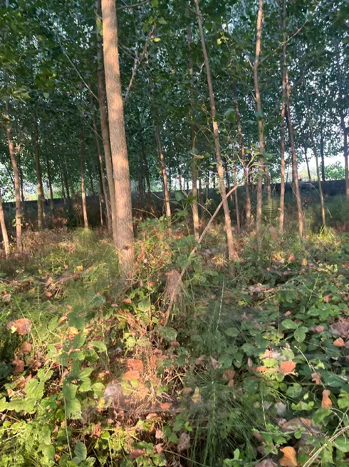 تصویر املاک 79250