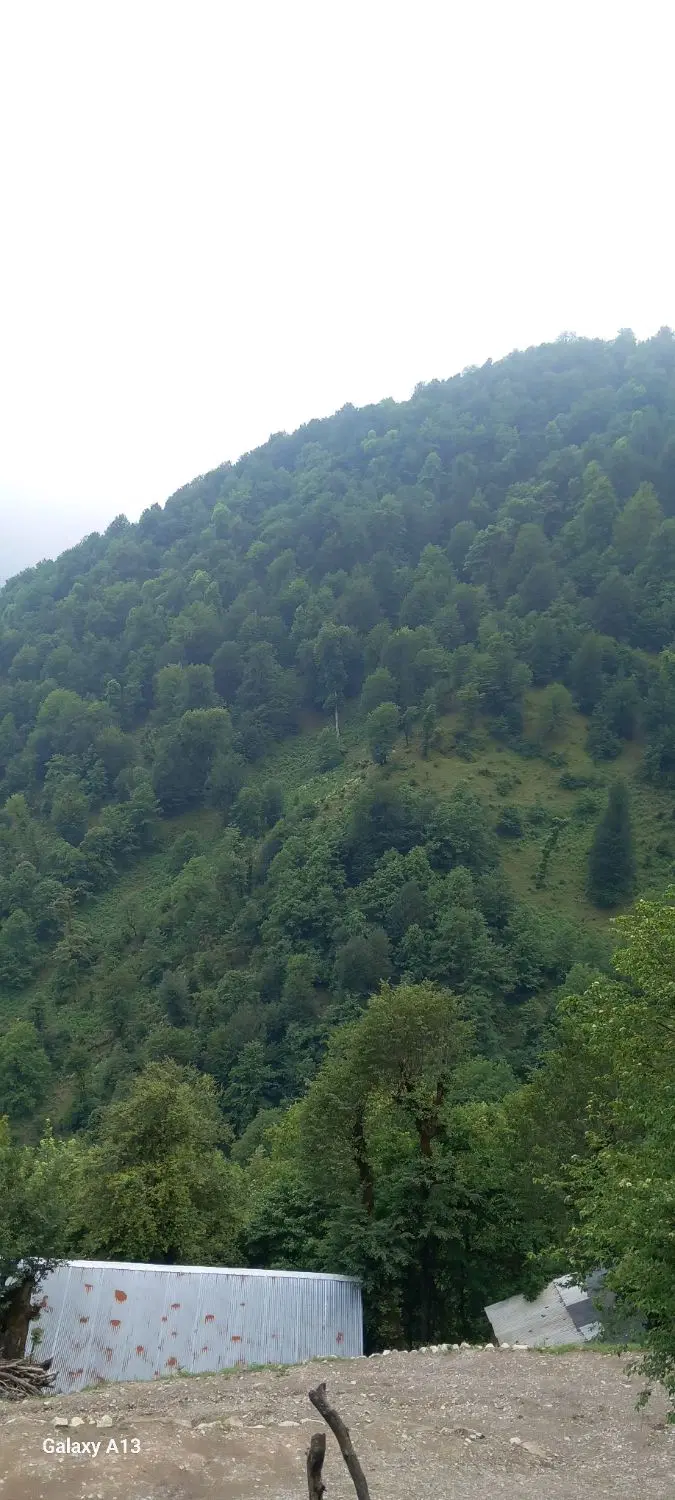 تصویر املاک 107806