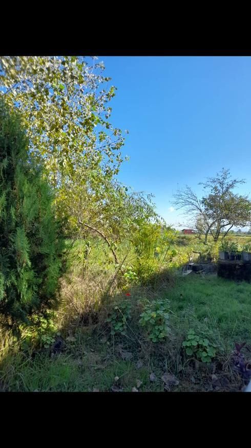 تصویر املاک 95709