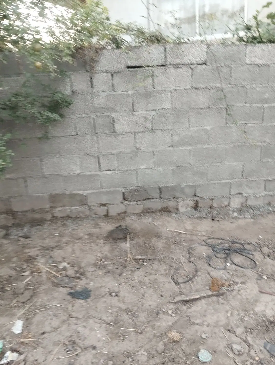 تصویر املاک 100945
