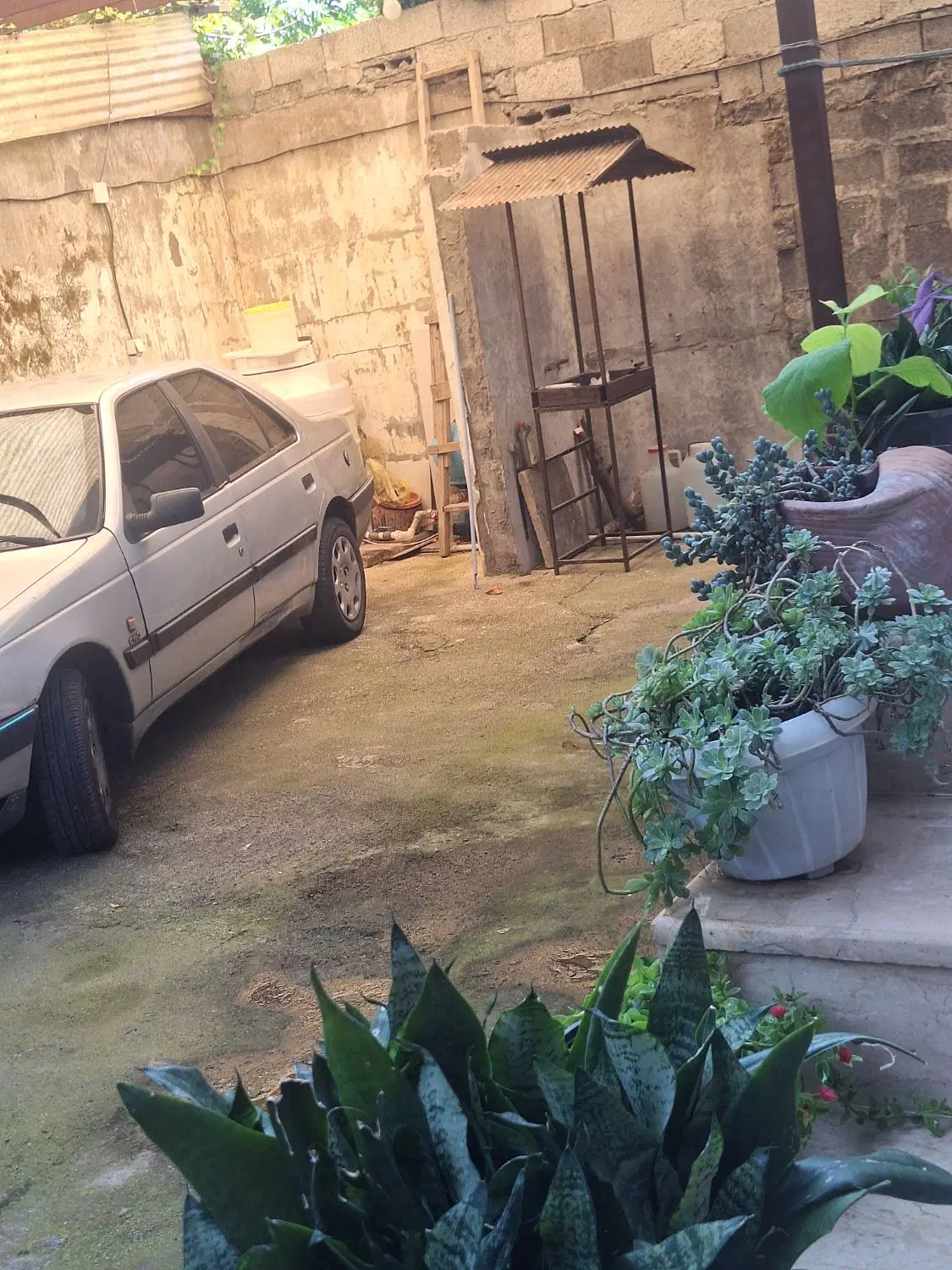 تصویر املاک 134476