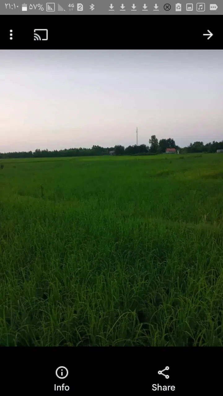 تصویر املاک 98270