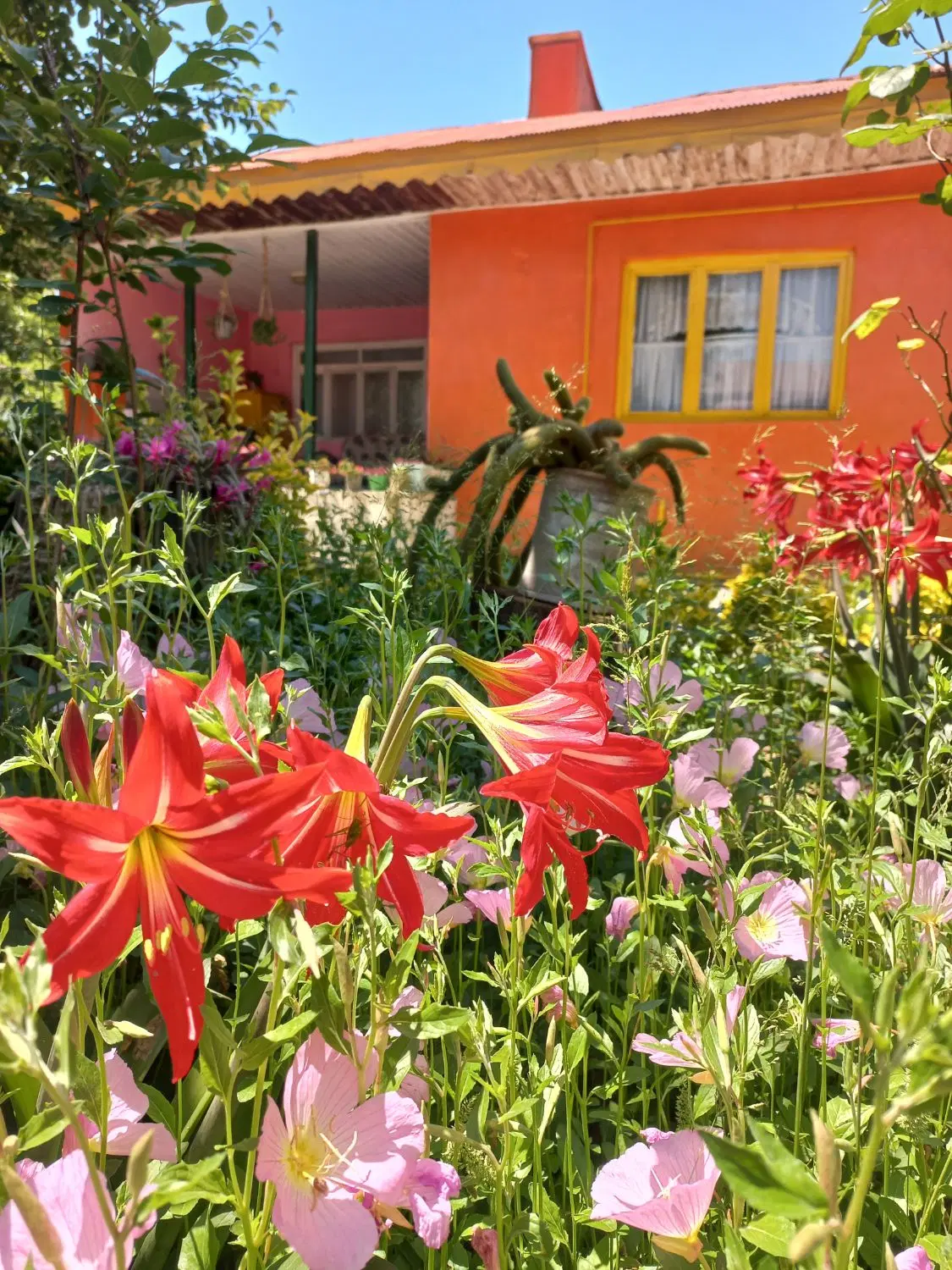 تصویر املاک 113224