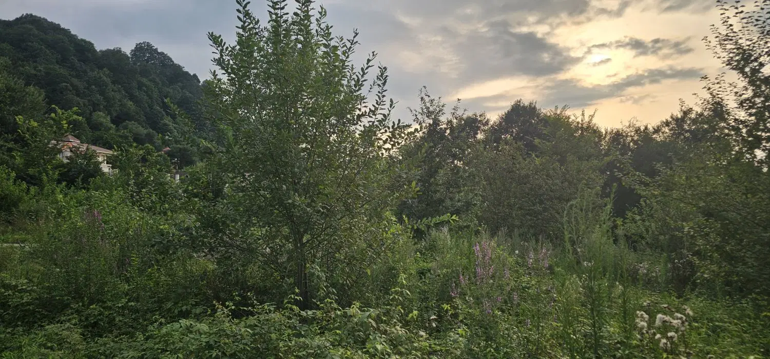 تصویر املاک 79288