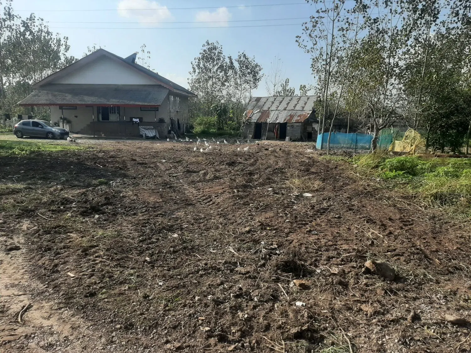 تصویر املاک 122361