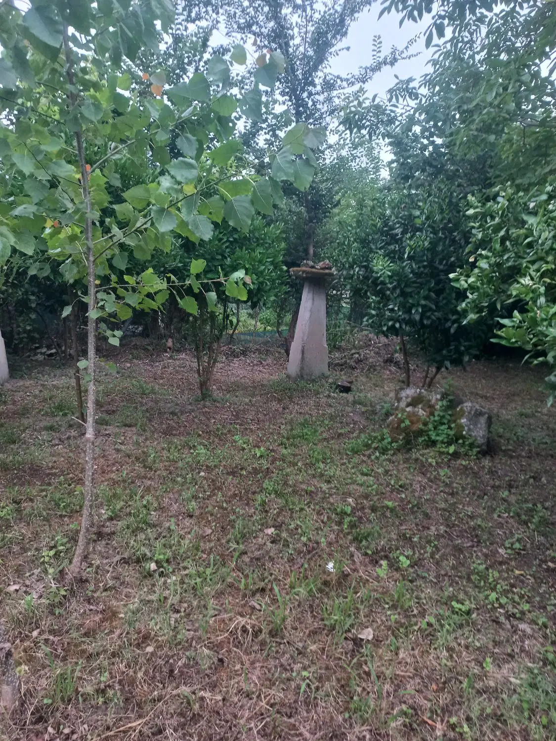 تصویر املاک 77406