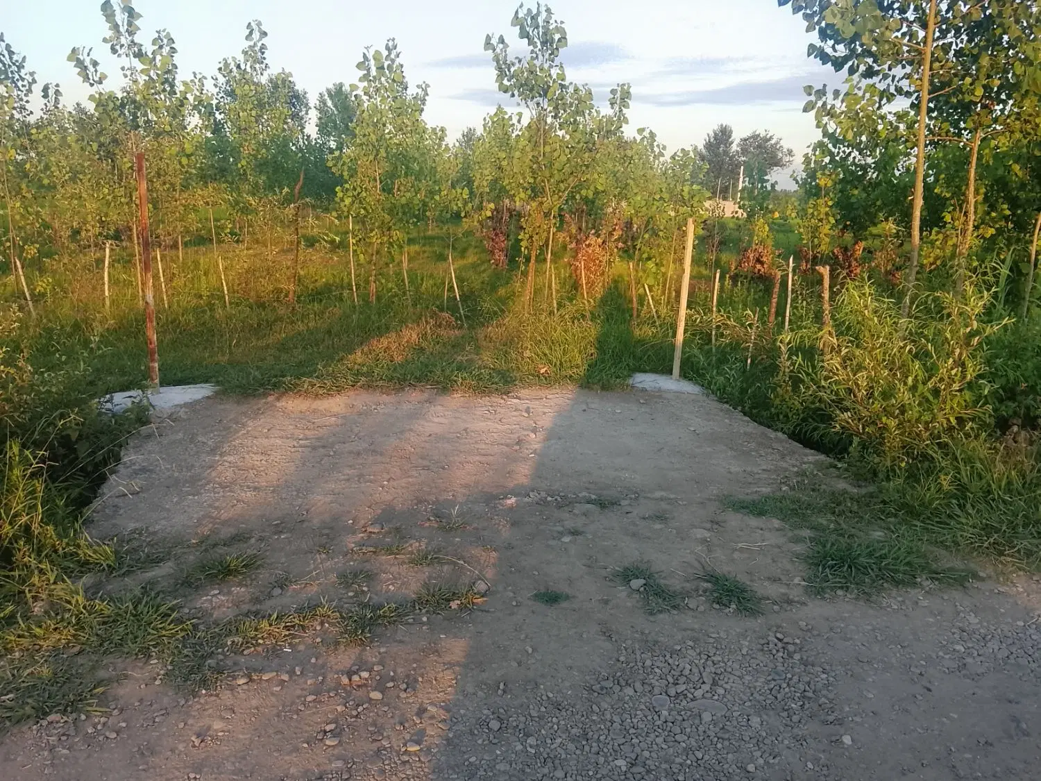 تصویر املاک 108800