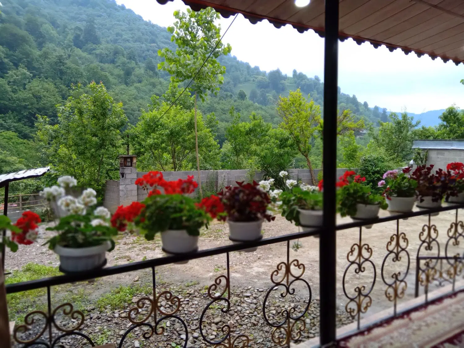 تصویر املاک 106297