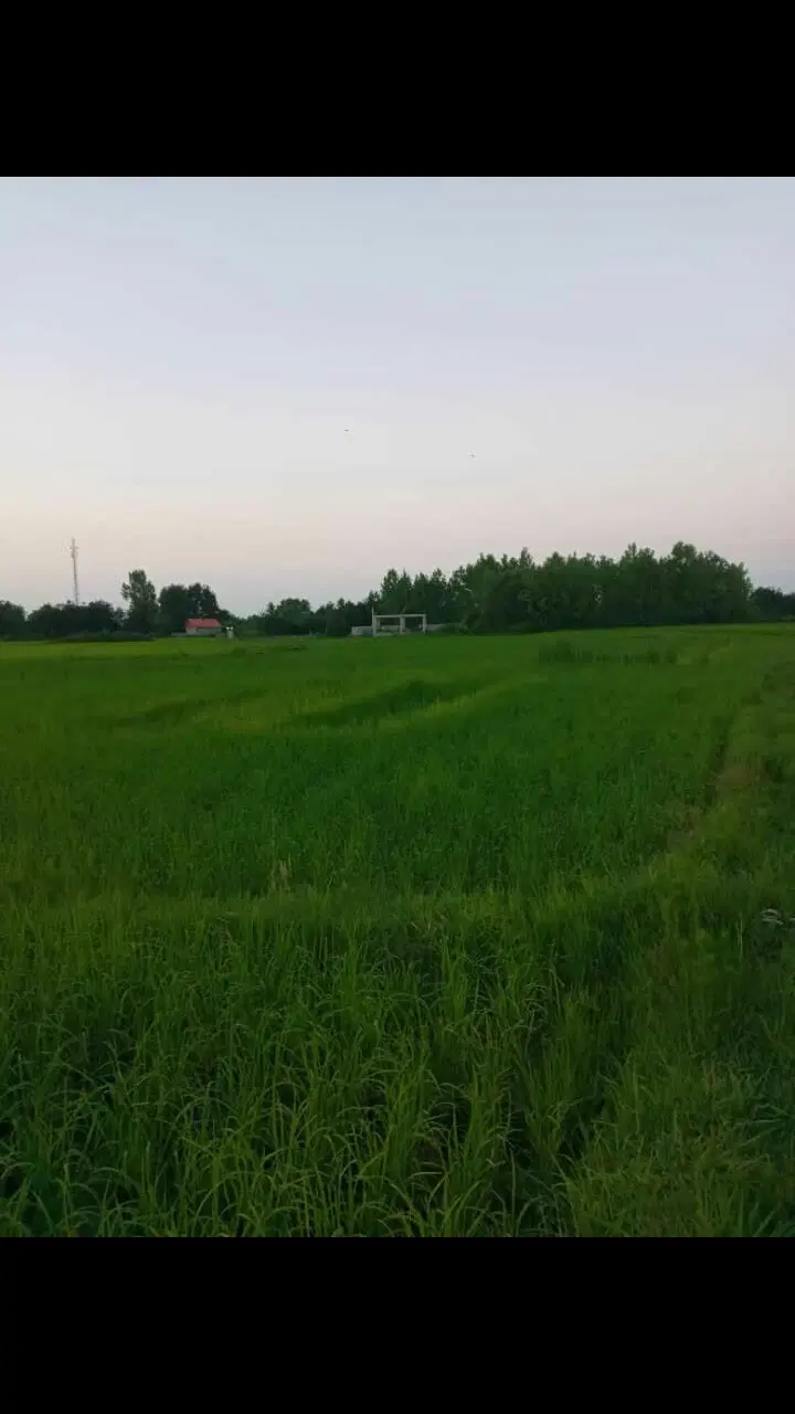 تصویر املاک 98275