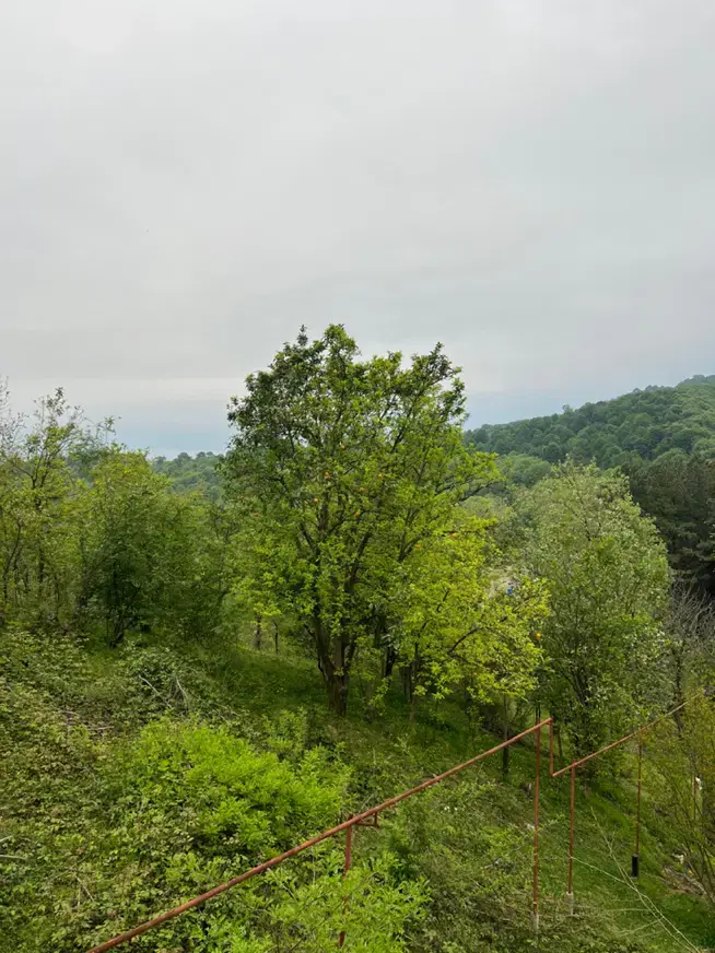 تصویر املاک 99091