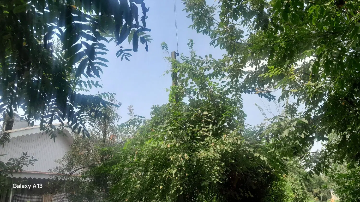 تصویر املاک 111018