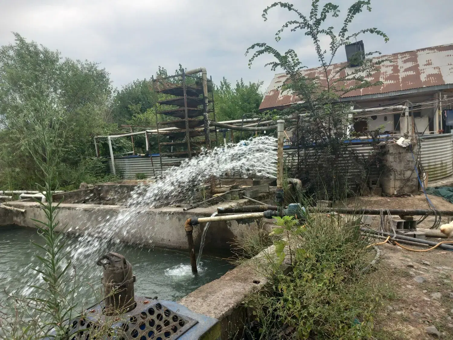 تصویر املاک 86124